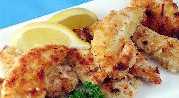 اسکالوپ بوقلمون