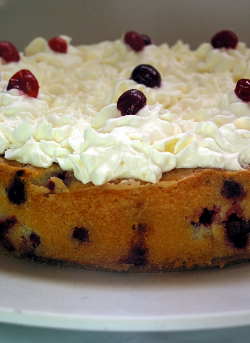 کیک زغال اخته